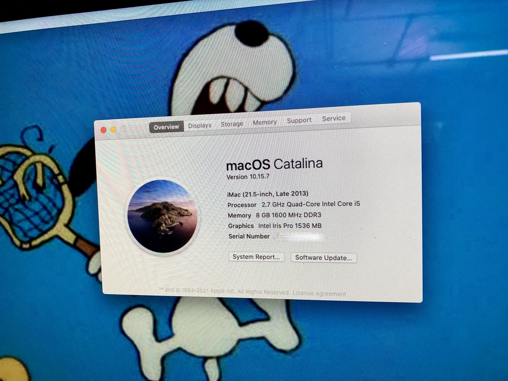 005ACEE4-E418-4EE8-AC2E-C1683C06358B_1_105_c.jpeg