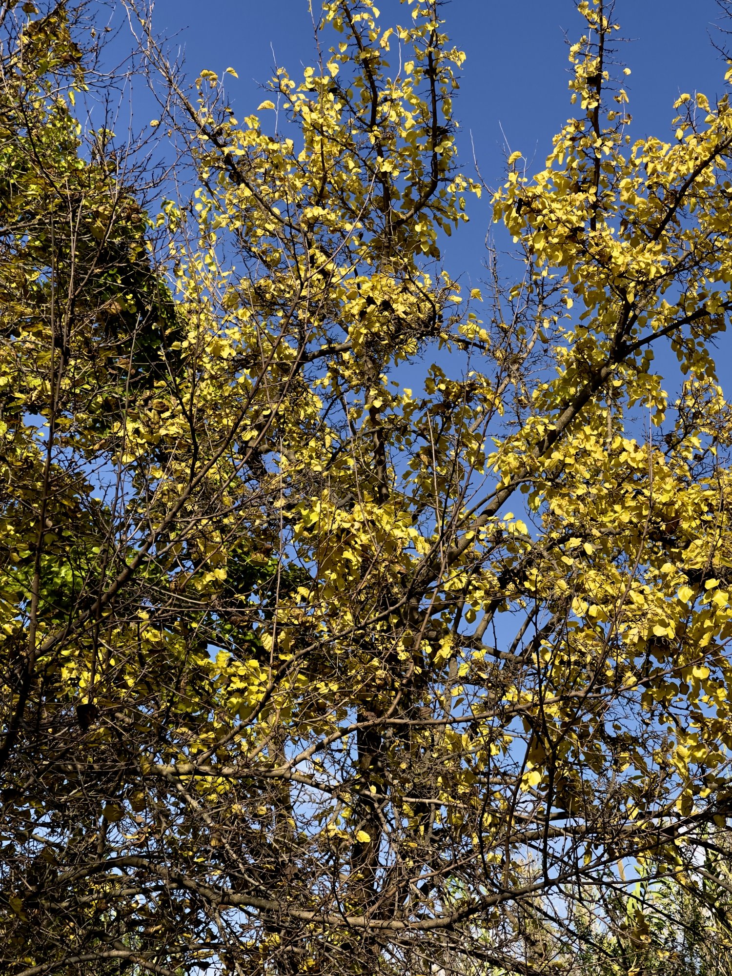 012B8508-A955-49C7-AC52-BCAEC6643454.jpeg