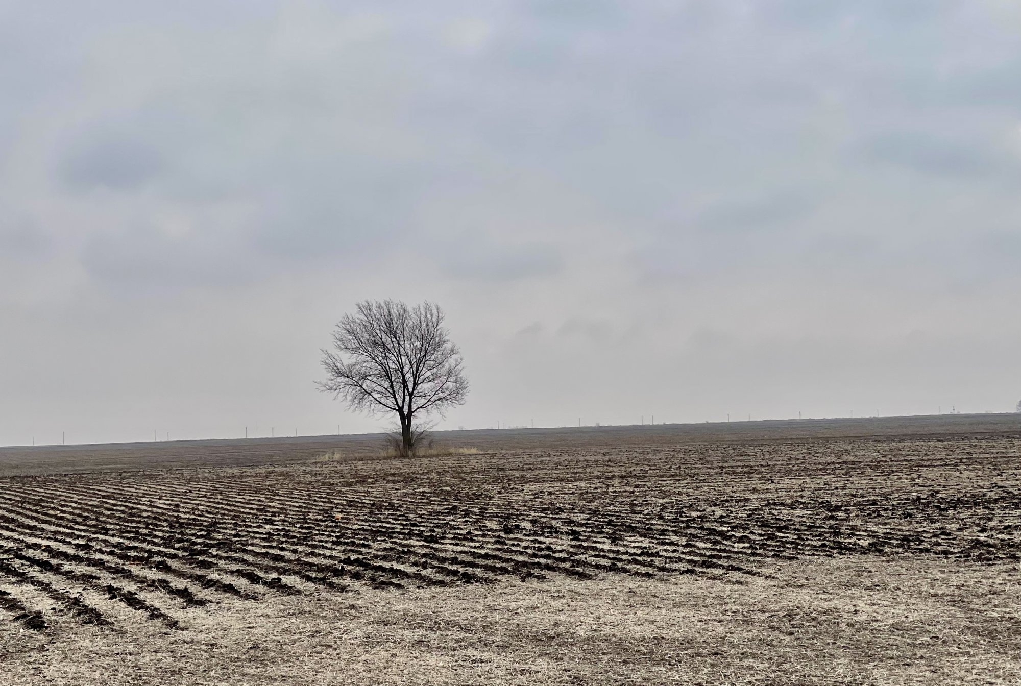 0485ADB4-6DC0-460D-8255-56DC24721F7D.jpeg