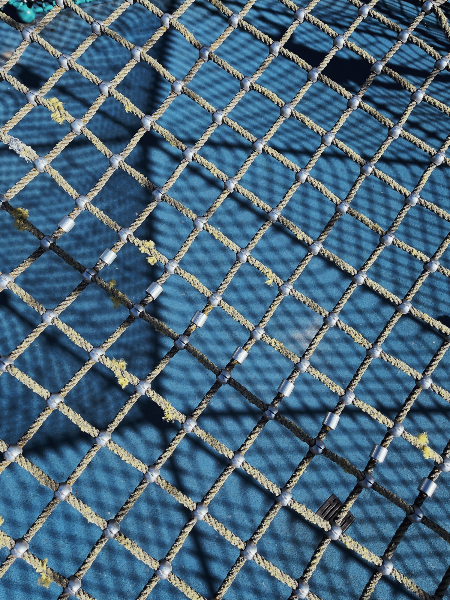 0B332CA2-4C33-4D77-80FC-DF5296B1FA19.jpeg