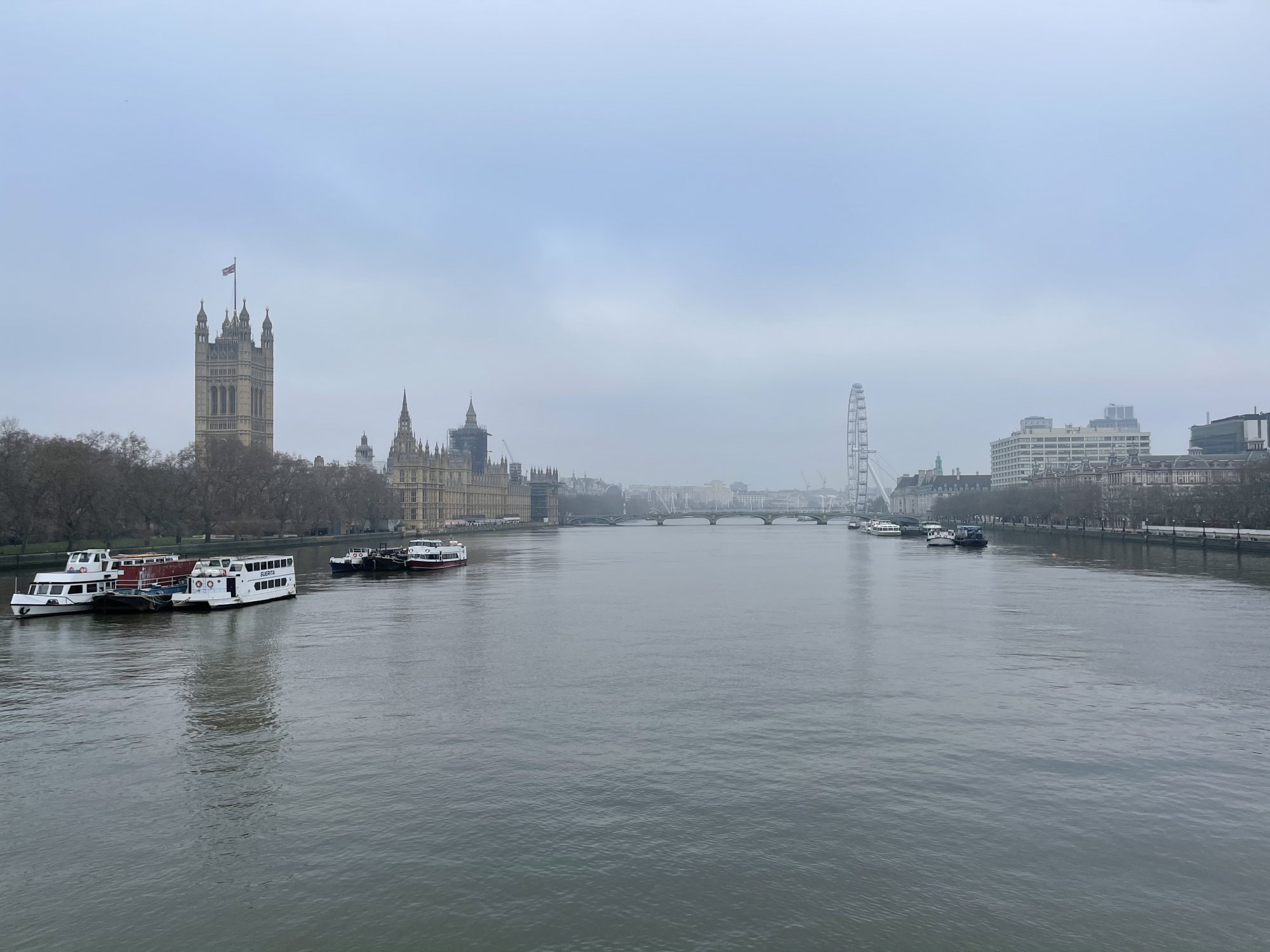 0B90F60E-DB5D-4D72-9953-9A0C2A0850E8.jpeg