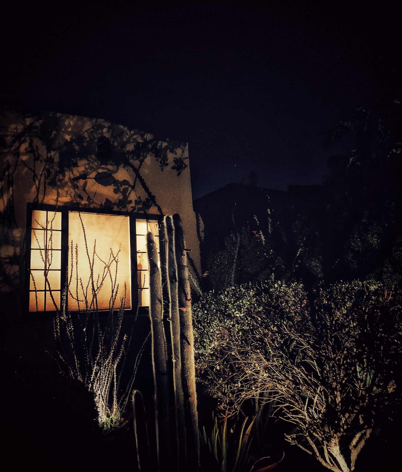 0D8E5F05-A957-4C19-BA77-2D2B35D812A1.jpeg