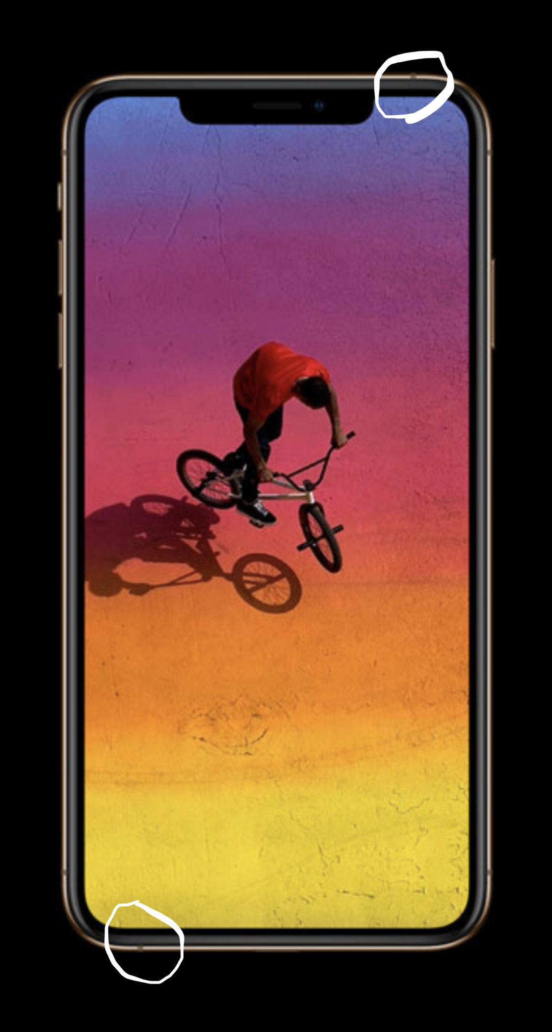 0FD646D9-B34C-4139-AE16-11E76E523F61.jpeg