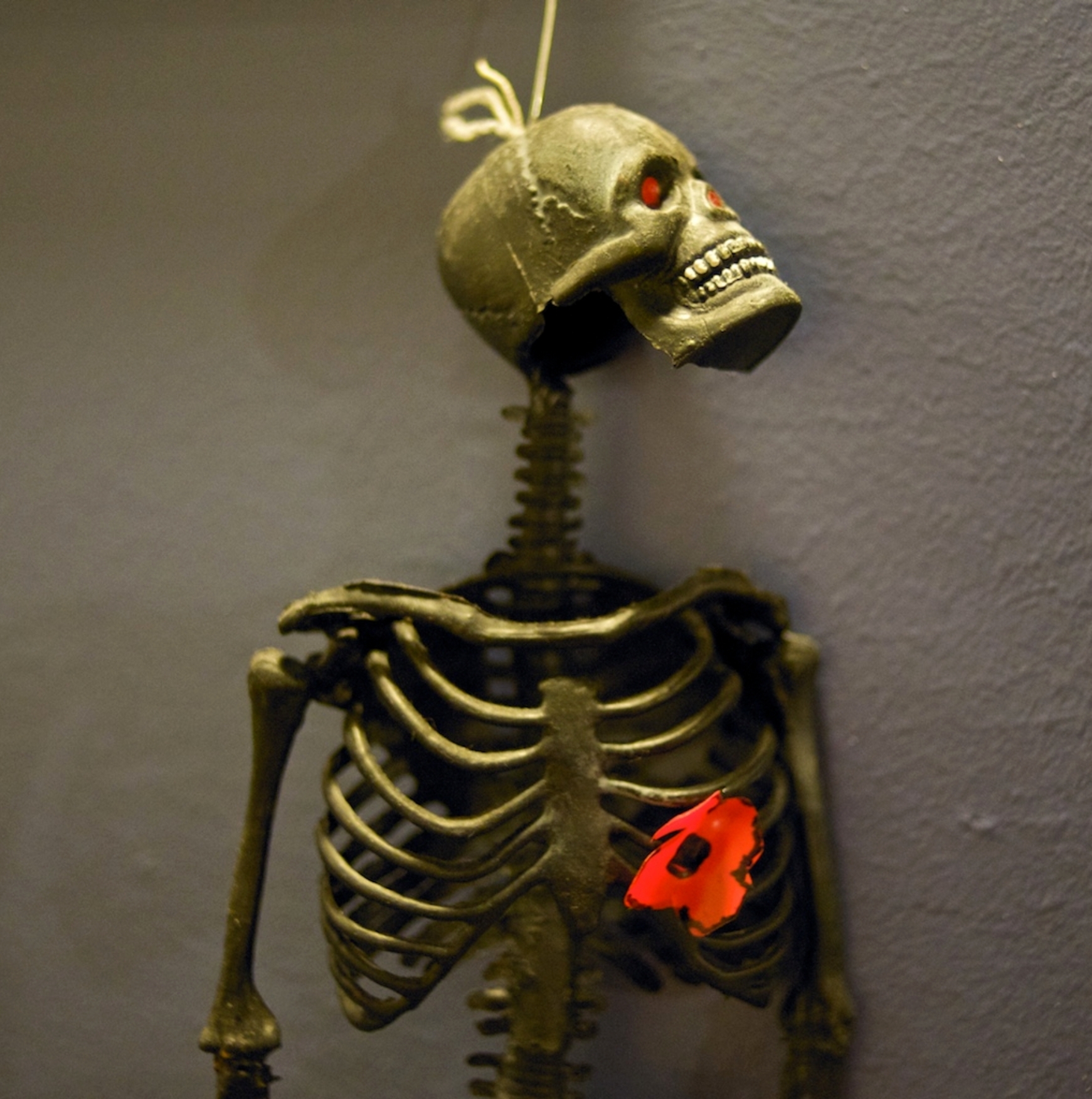 1000106654.jpg