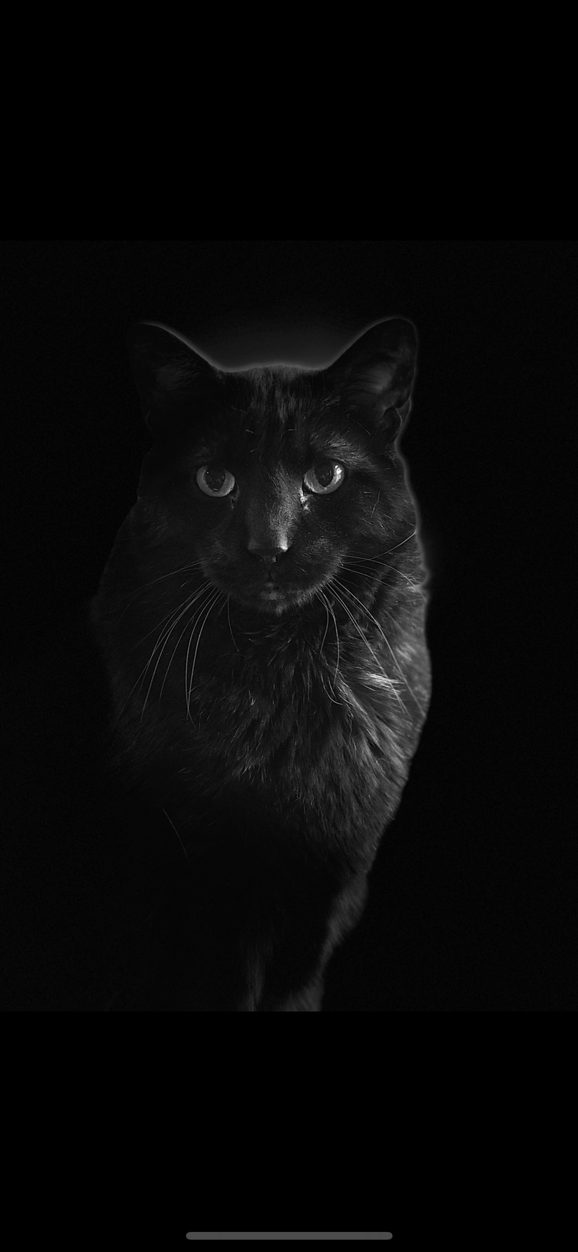 10109E0D-48CC-4982-8625-35EAC10D56A8.png