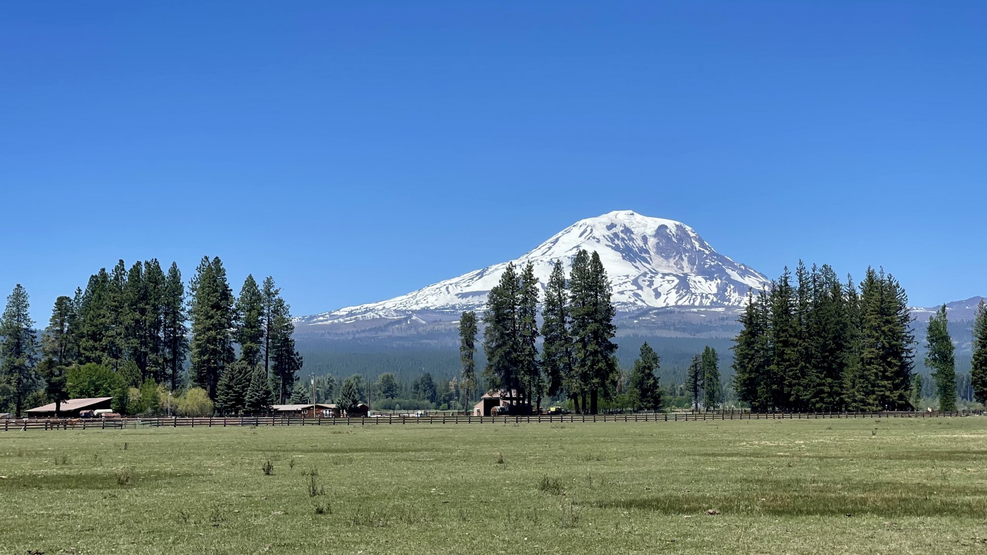 10AA0764-C72A-418F-8458-F3D028E99DB3.jpeg