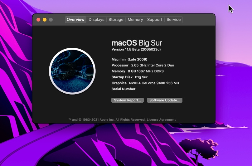 11.5b.jpg