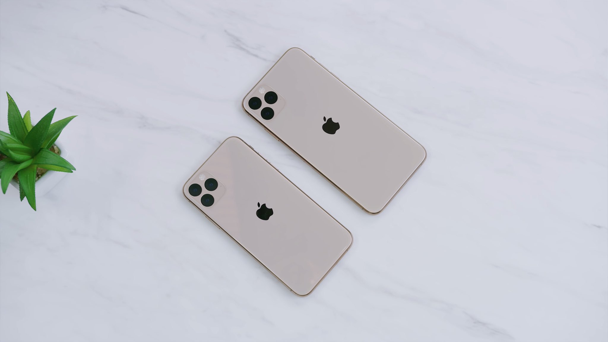 11 mockup.jpg