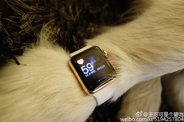 13015-7372-wang-si-cong-dog-apple-watch4-xl.jpg