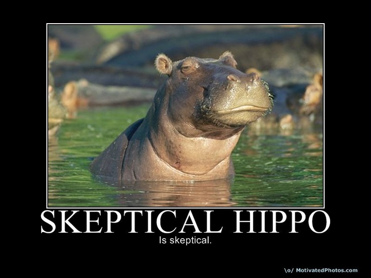 132fb581df016ea3c10ae0dd10ed976f--hippopotamus-adorable-animals-4218424261.jpg