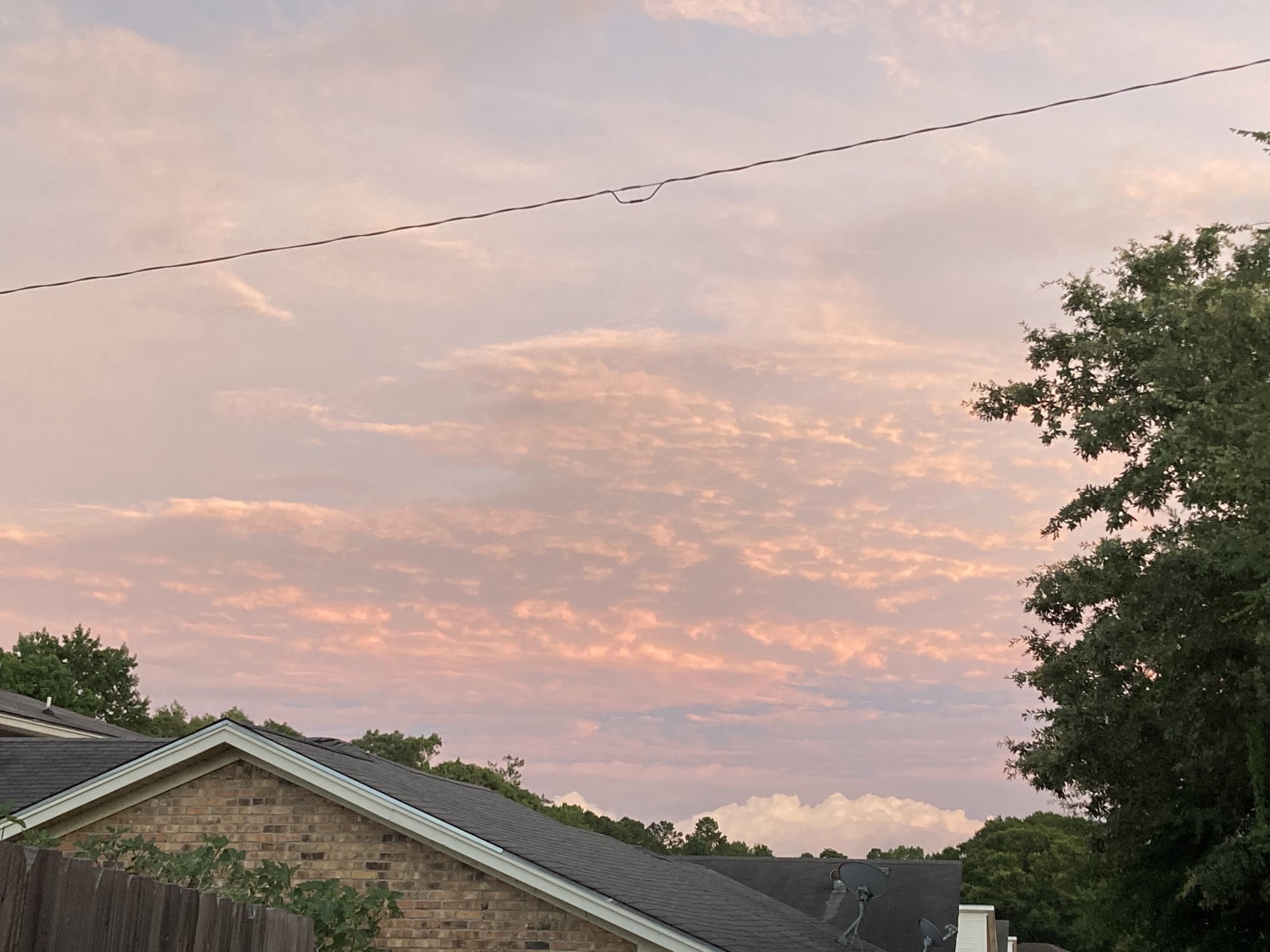 13F1F37F-578D-4DEB-BC4F-9DF1B44F6174.jpeg