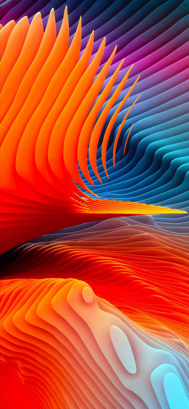 15A56A0D-B3CD-40A4-B67A-A7E573A81625.jpeg