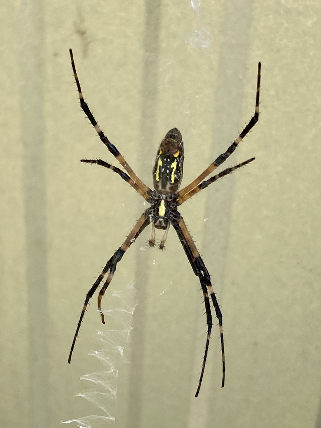 161964B7-4C4C-4927-A50F-12ECDB06BC3B.jpeg