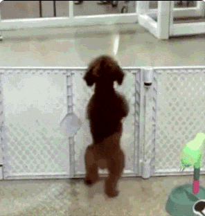 1662588425280.gif