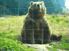 1663042707623.gif