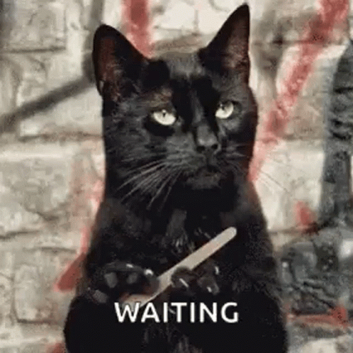 1663059302783.gif