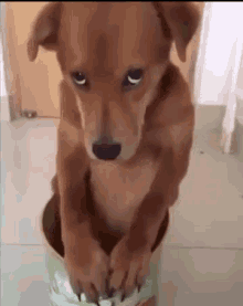 1663166282721.gif