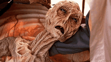1663337025057.gif