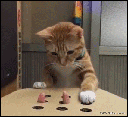1663608493592.gif
