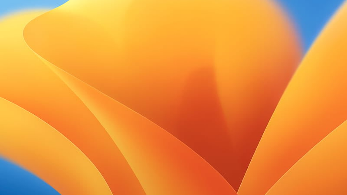 1692756699959.png