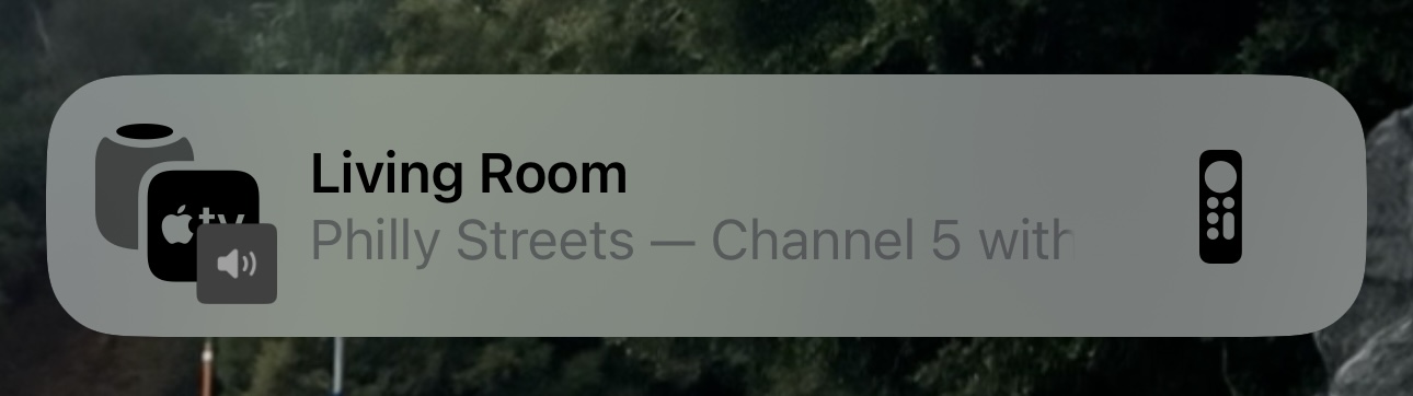 1719261251153.jpeg