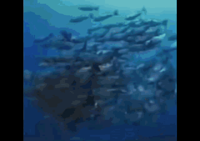 1762862739420.gif