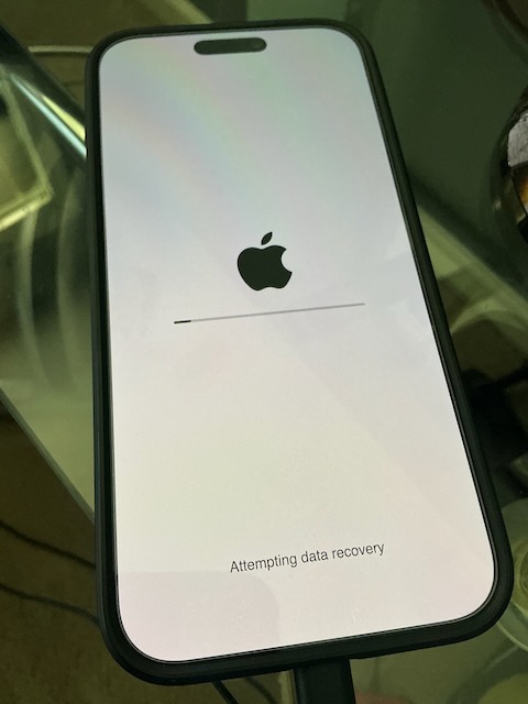 1776726989049.jpeg