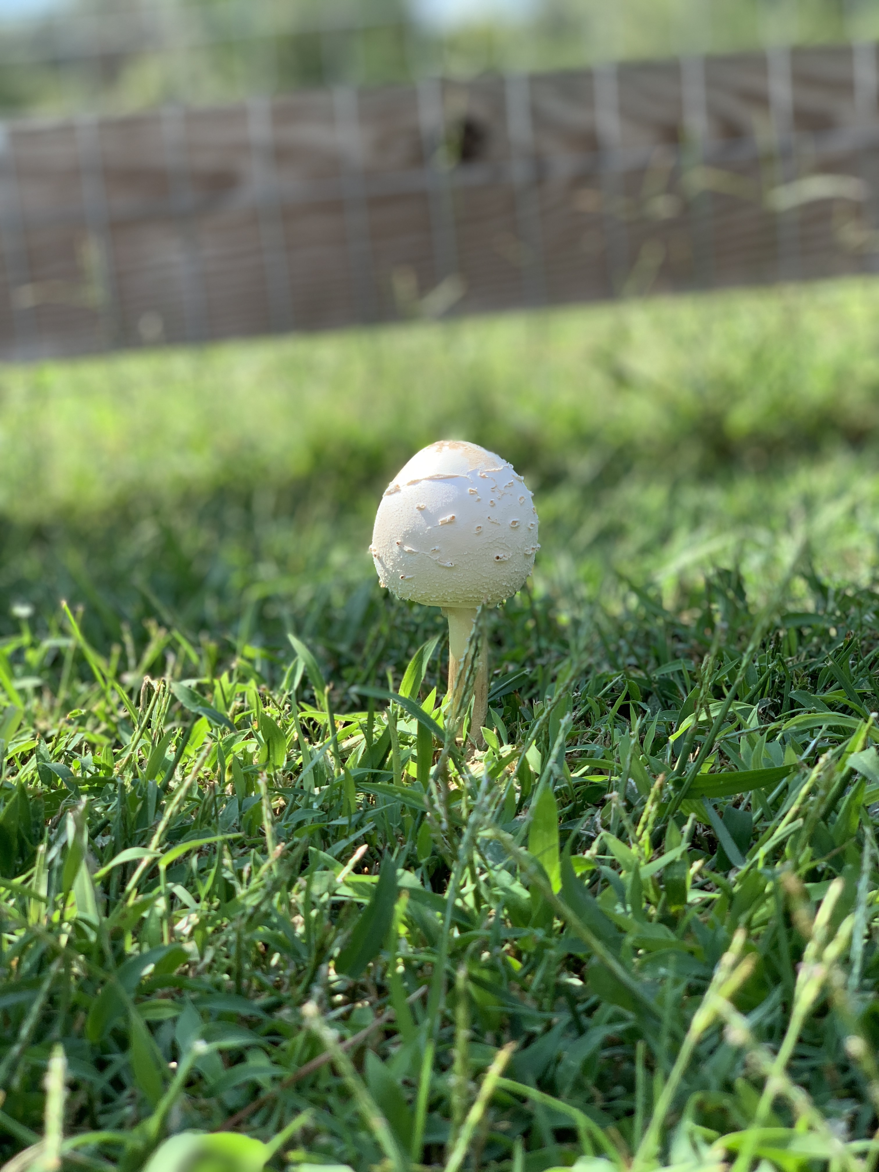 179206A1-0B98-4878-A217-8096571A5529.jpeg