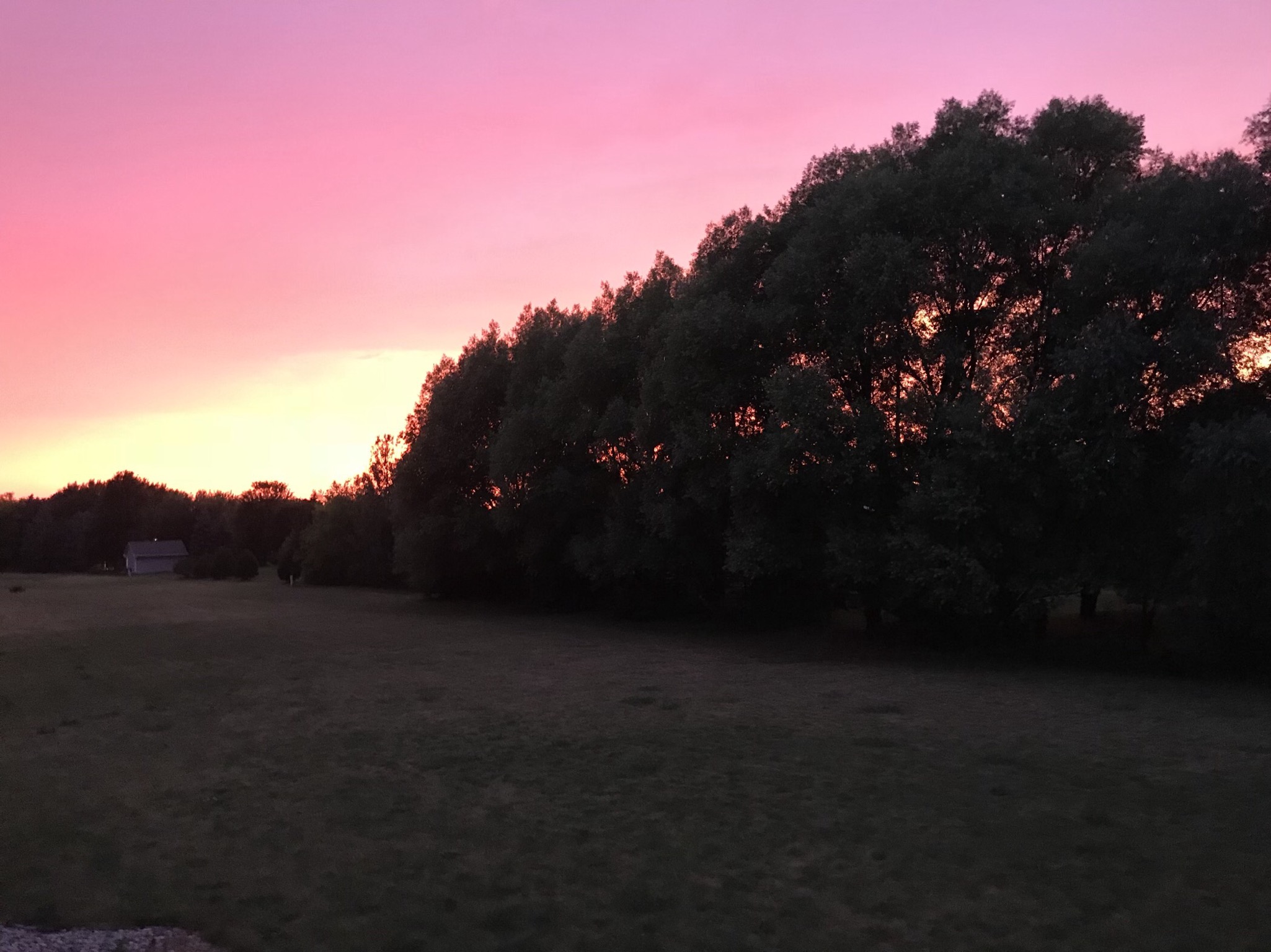 19C4C4FC-01DA-442E-A788-BDC83366BC98.jpeg