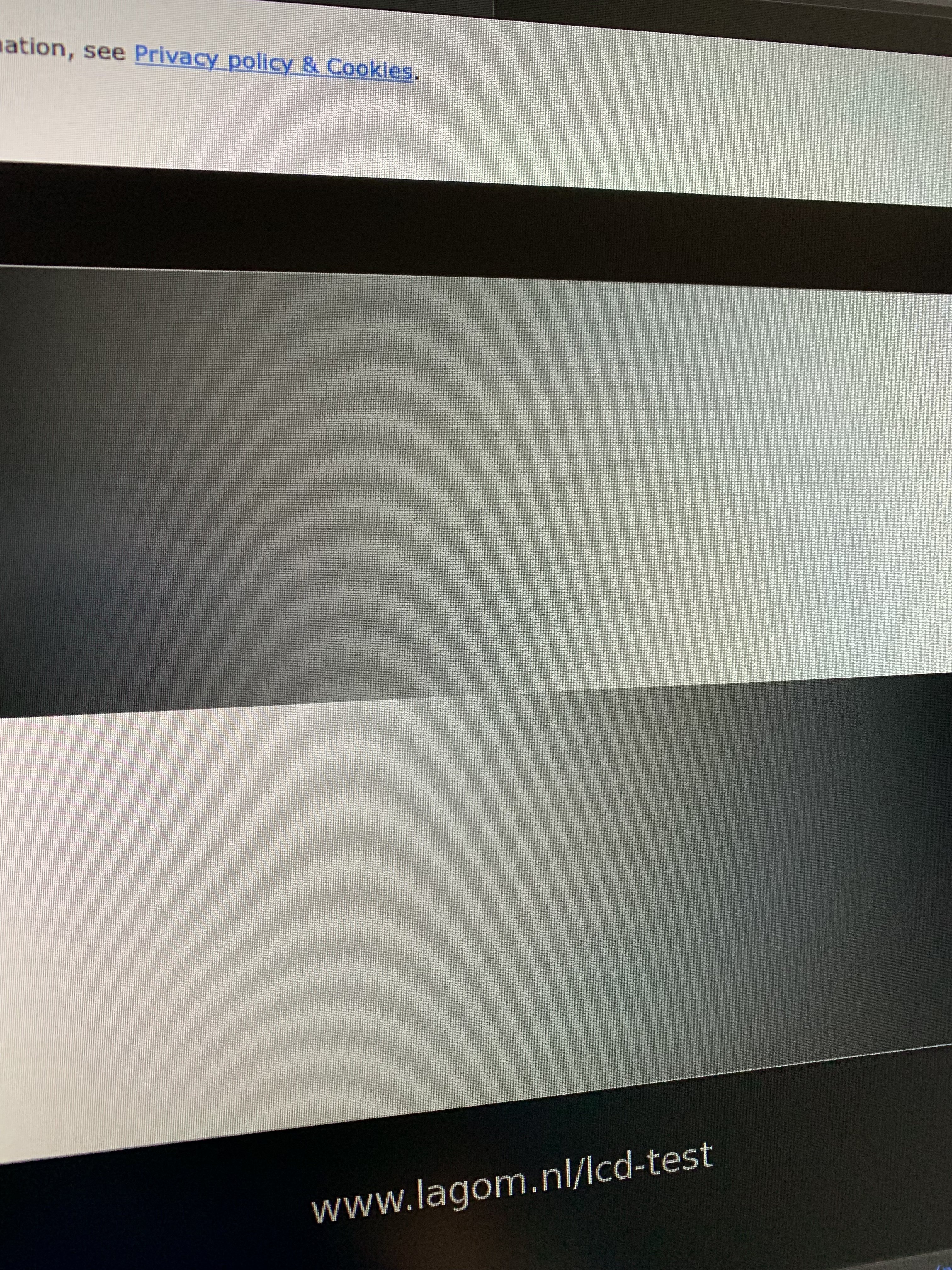 1B60635D-1646-4BE2-AC63-03AD47828070.jpeg