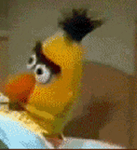 200w.gif