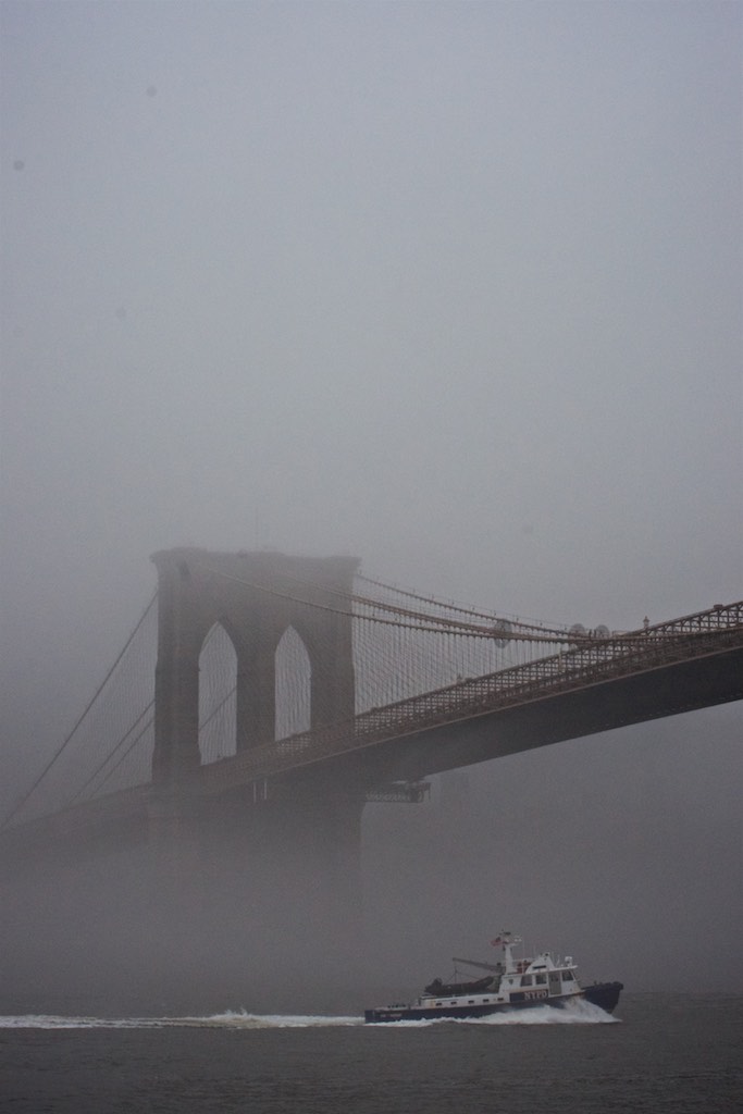 2018-04-04 | IMGP7141.jpg