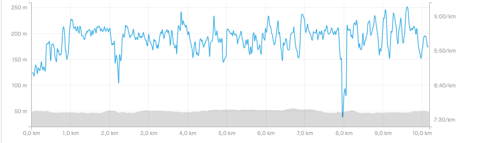 2019-11-29 14_31_13-Lauf am Morgen _ Lauf _ Strava.png