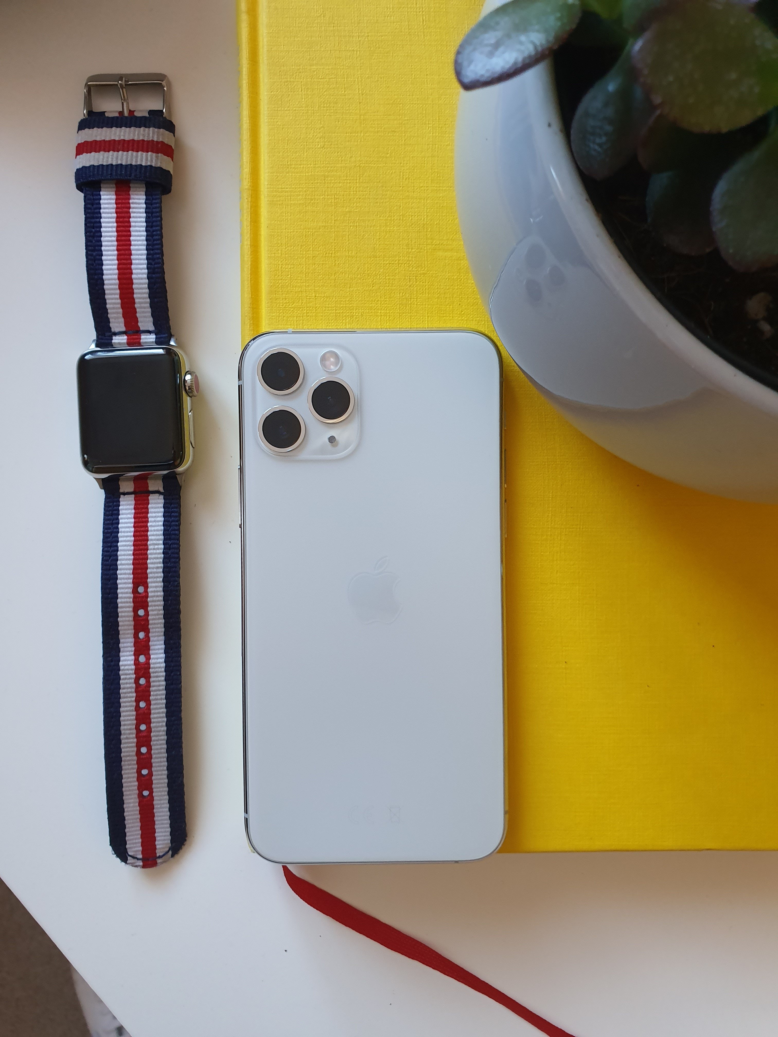 20190920_092059.jpg