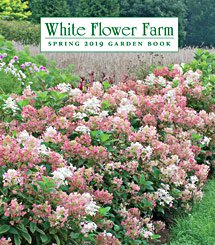 2019CatalogWhiteFlowerFarm.jpg