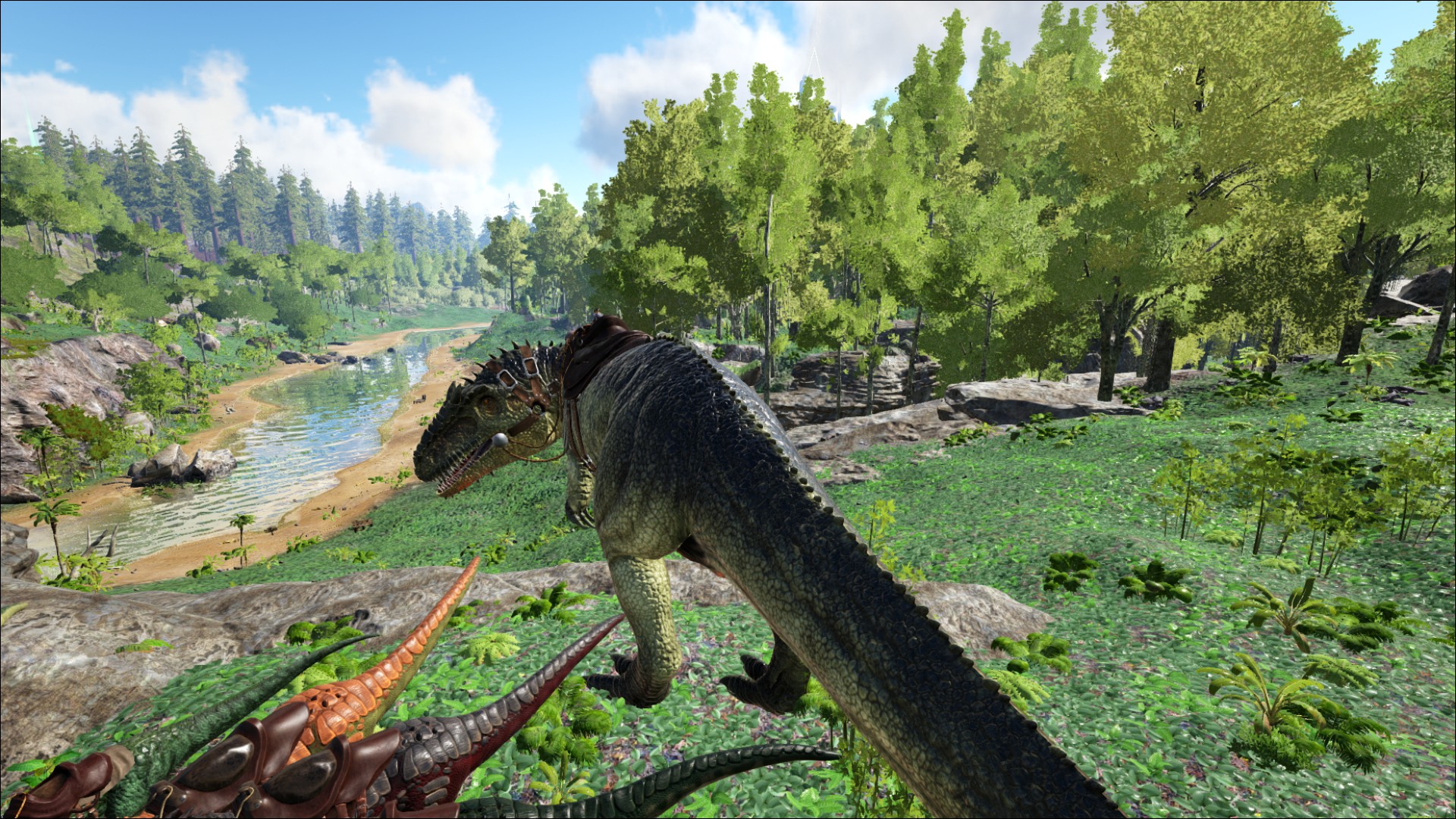 20200717094642_1 copy.jpg