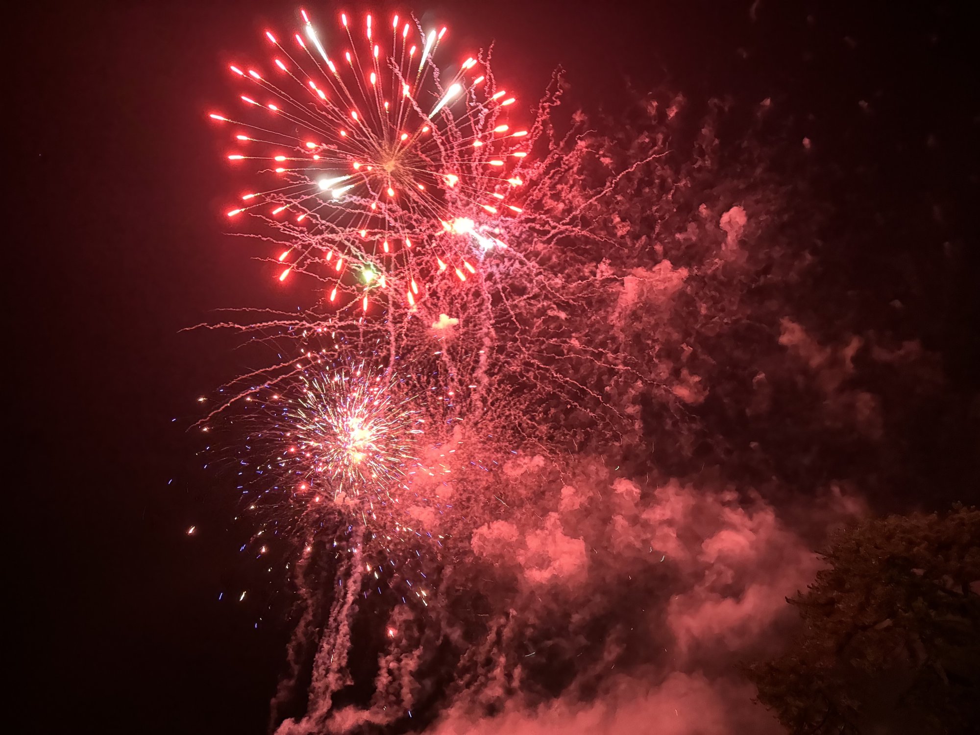 2023 - 04.11.23 - CUCKFIELD BONFIRE NIGHT_12.jpg