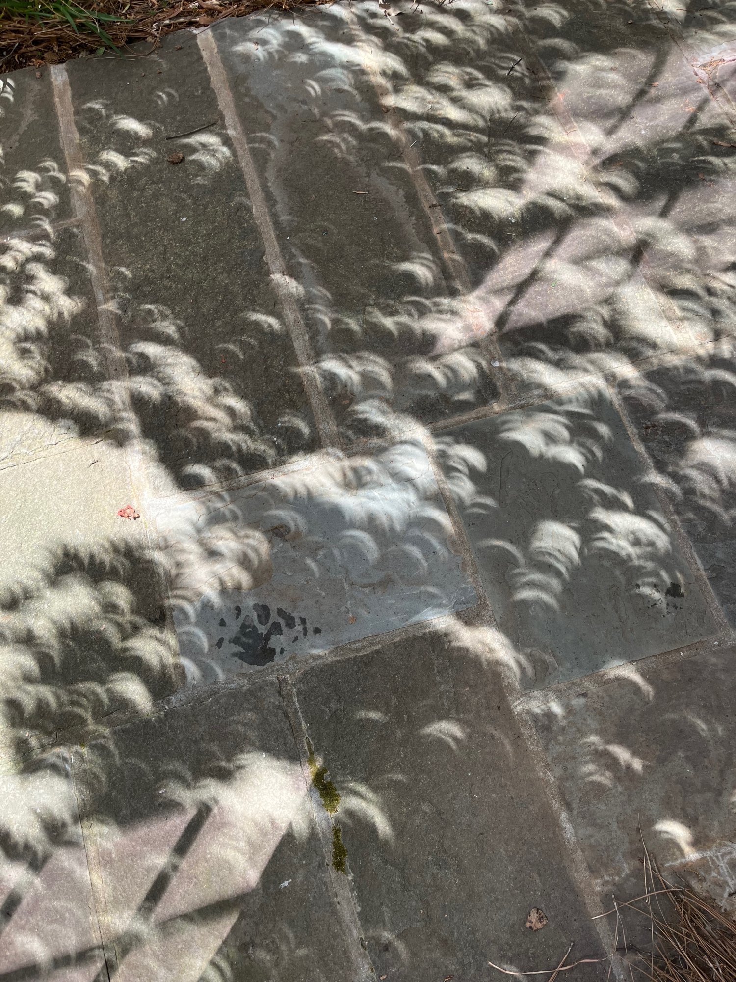 2024-eclipse-e-e-e-e.jpg