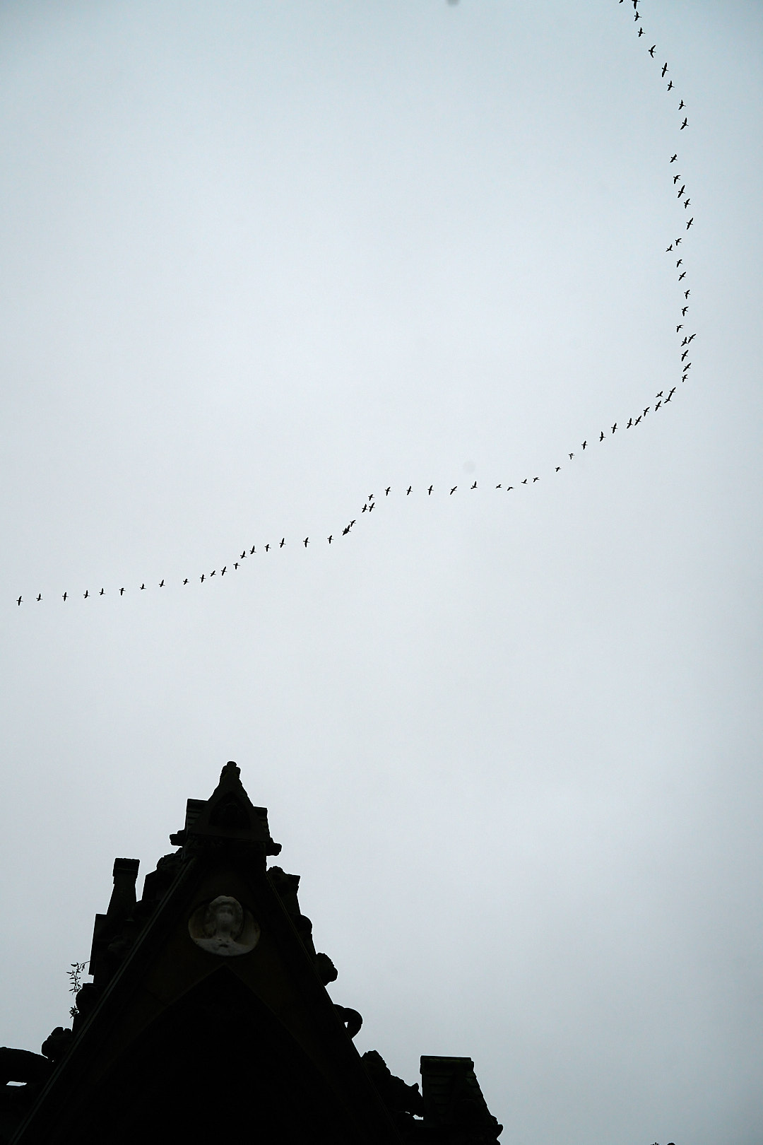 2025-10-30 ~ A7C06903.jpg