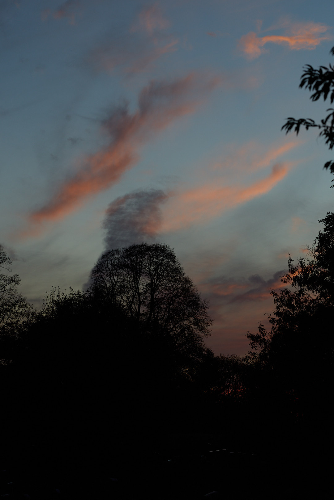 2025-11-02 ~ R52_8637.jpg