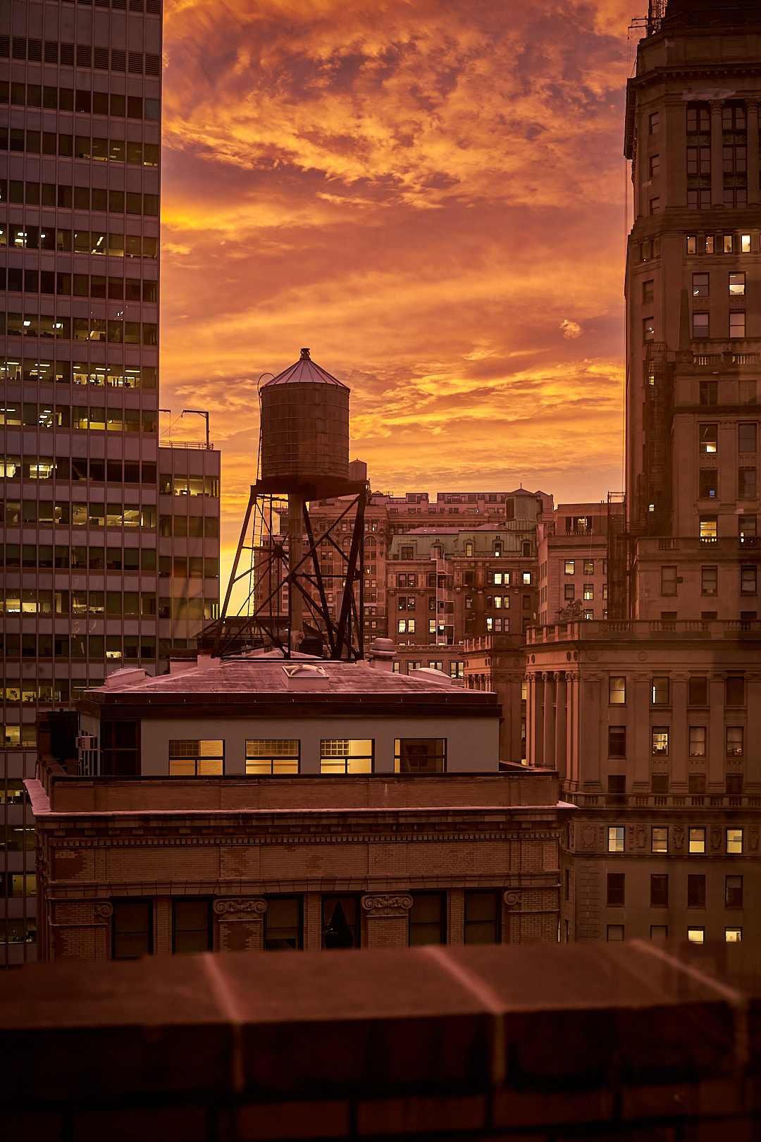 2025-11-05 ~ A7C07324.jpg