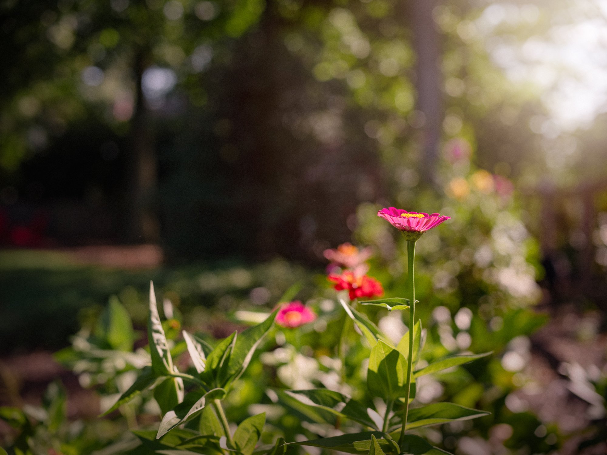 2025_July_50S23755-Edit-positive.jpg