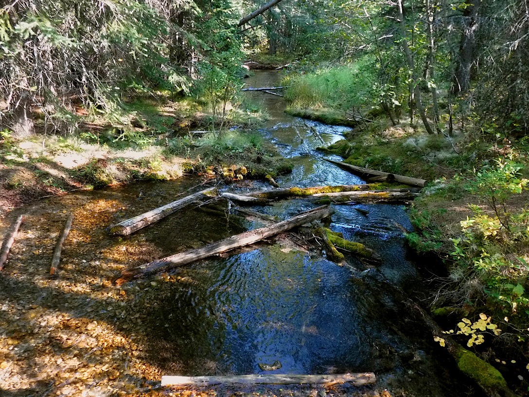 21_629ChinookCreek.jpg