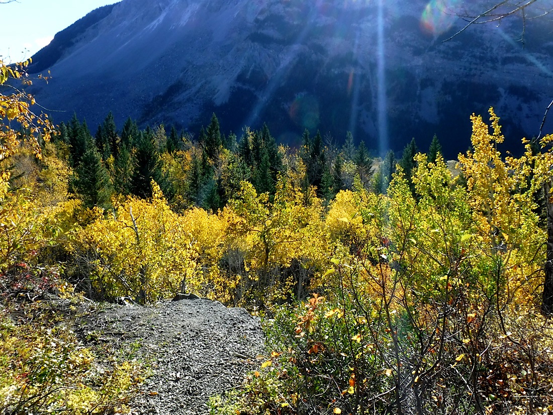 21_760FrankSlide.jpg