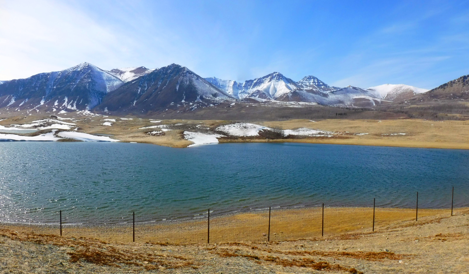 21F_185P_Waterton.jpg