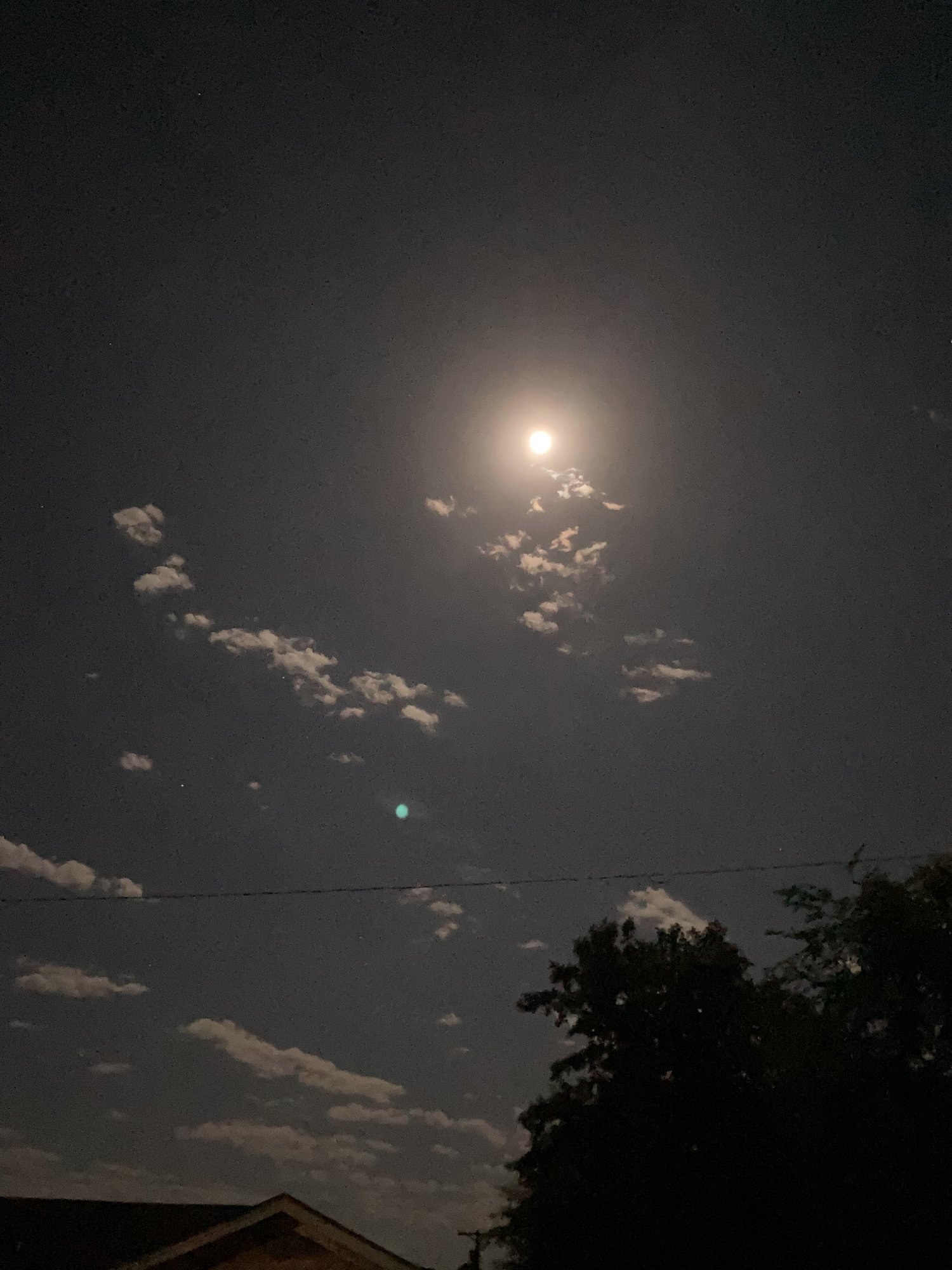 225916F1-A0E3-4F1E-9EB6-6EEBCF27E284.jpeg