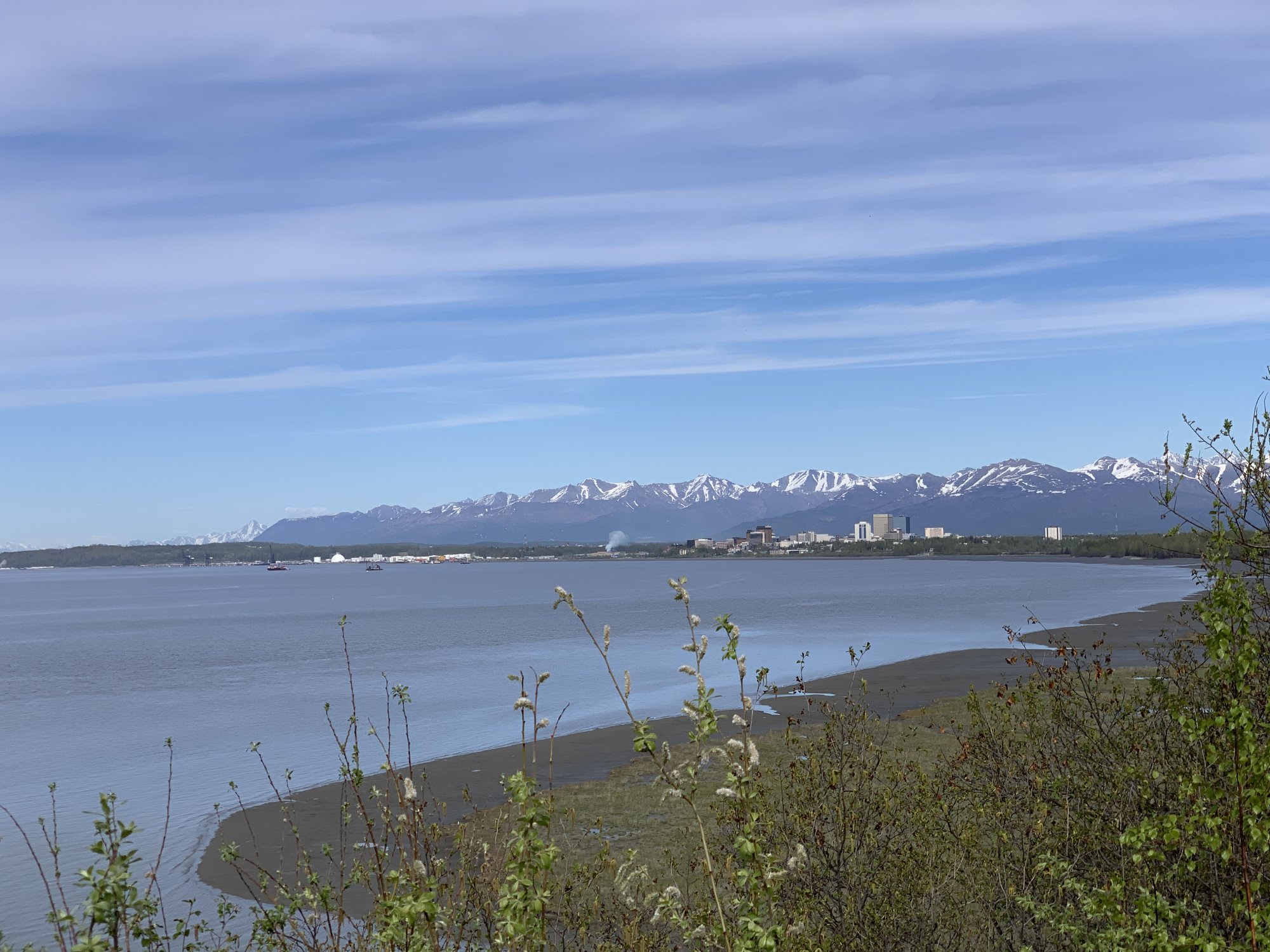 245EB121-C072-4F3A-A0BF-7DDC9D08875B.jpeg