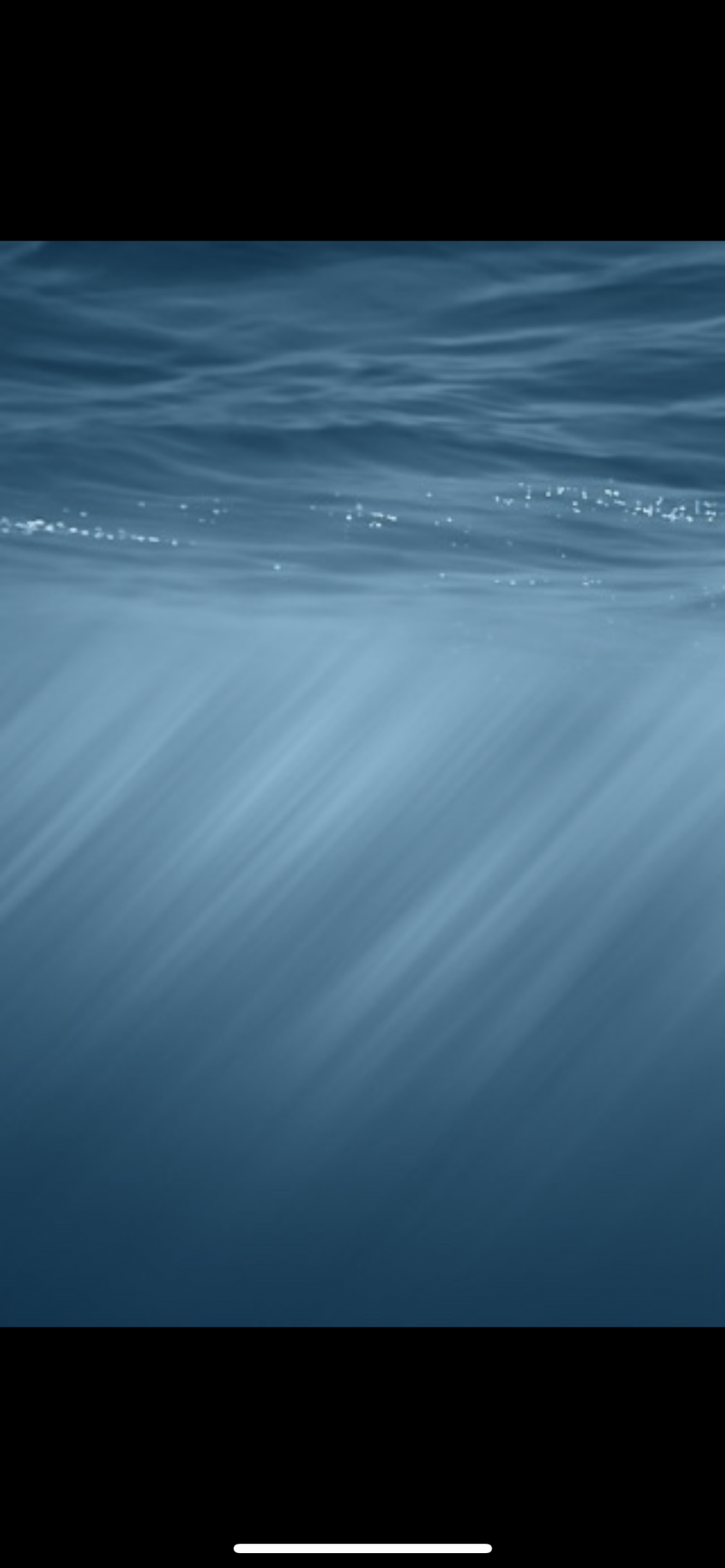 2686AE1C-0CF7-48B9-82F6-B42FF1C93858.png