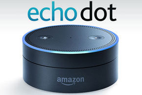 290_EchoDot.jpg