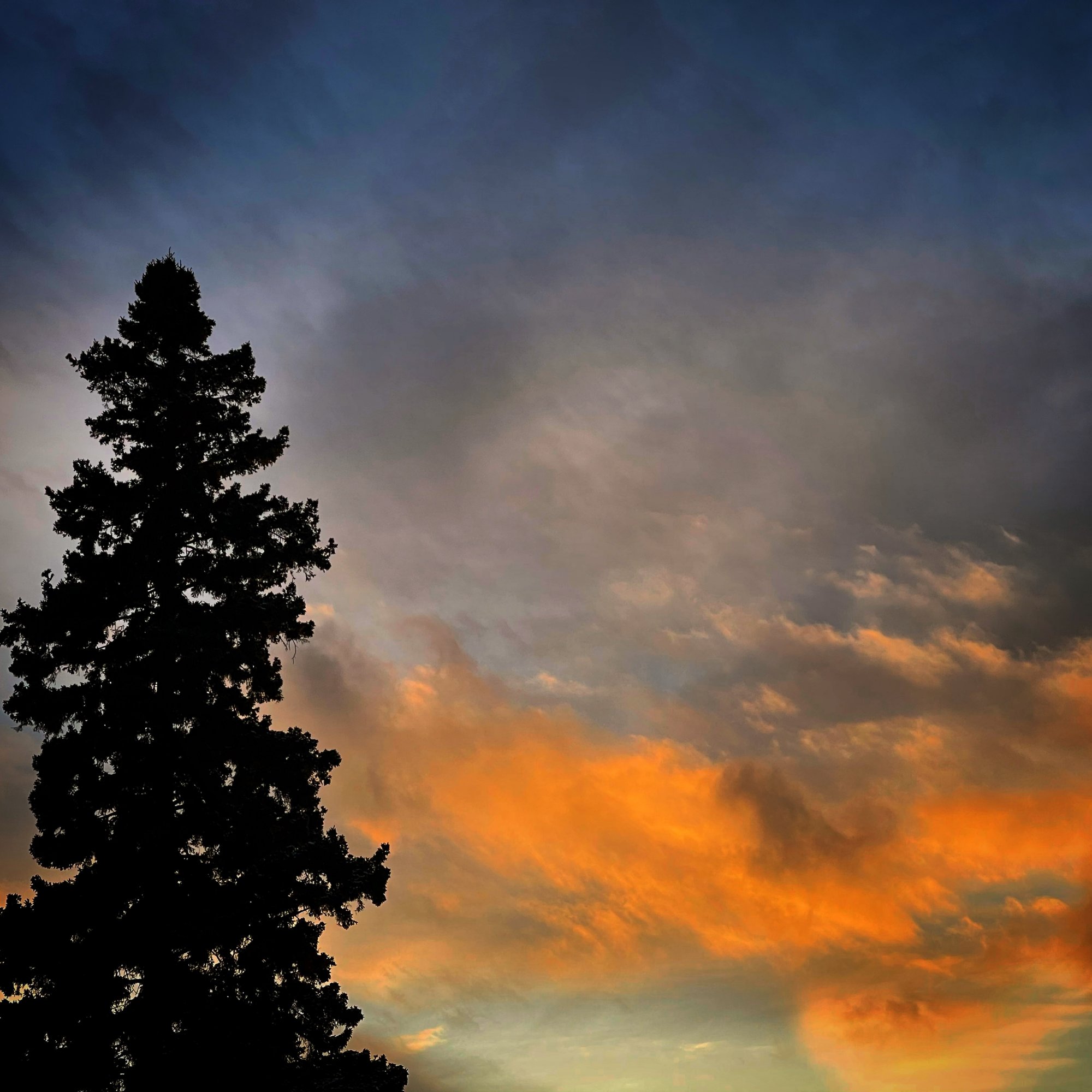 293B5FD9-614A-4986-A168-2FA6C36E4818.jpeg